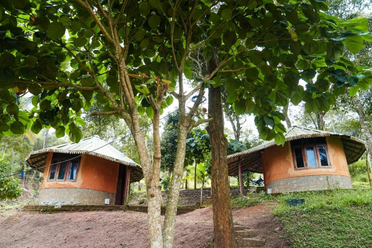 Punarjani Ayurvedic Resorts Ramakkalmedu Екстериор снимка