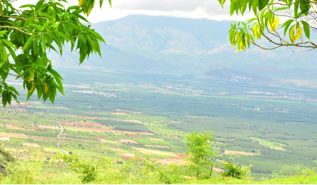 Punarjani Ayurvedic Resorts Ramakkalmedu Екстериор снимка