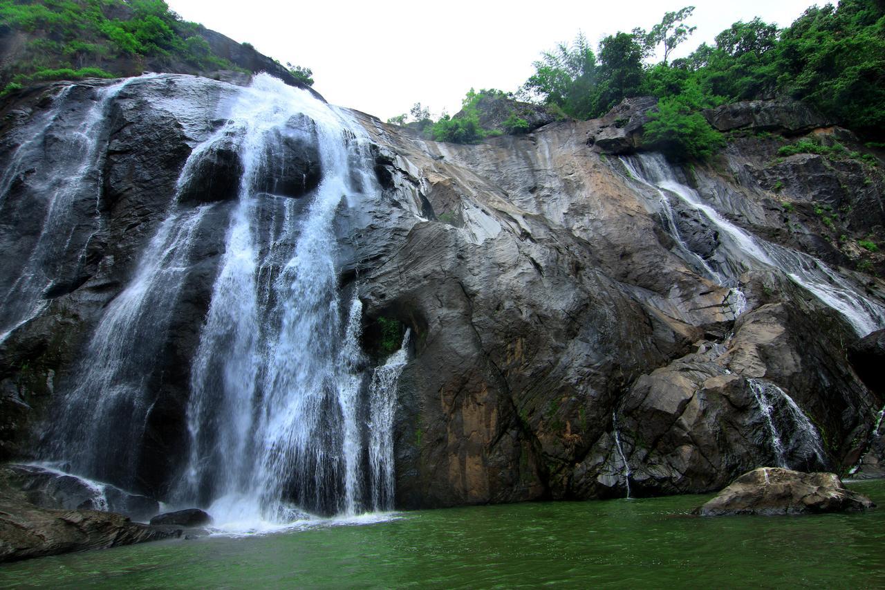 Punarjani Ayurvedic Resorts Ramakkalmedu Екстериор снимка